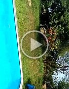 VID-20170809-WA0013