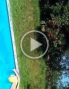 VID-20170809-WA0014
