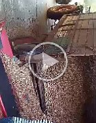 ce1d4384-044b-4c0b-8a44-5288ec5790f6