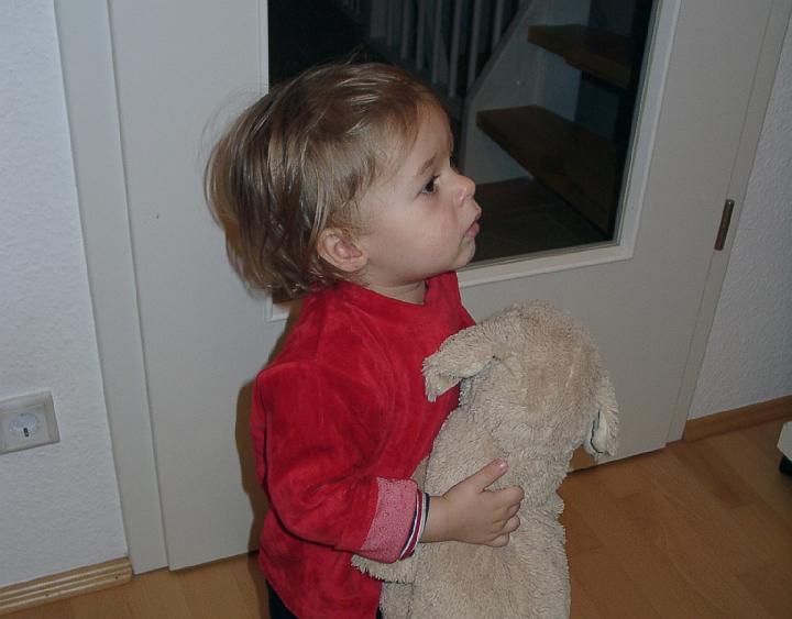 Vogelperspektive_cut