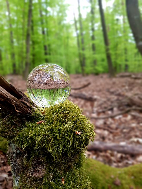 20200428_190138_1588093986446