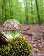 20200428_190138_1588093986446