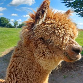 Himmelfahrt in Niederbayern 2022