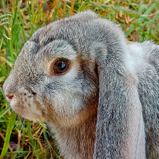 Luis Urlaub in Niederbayern 2022
